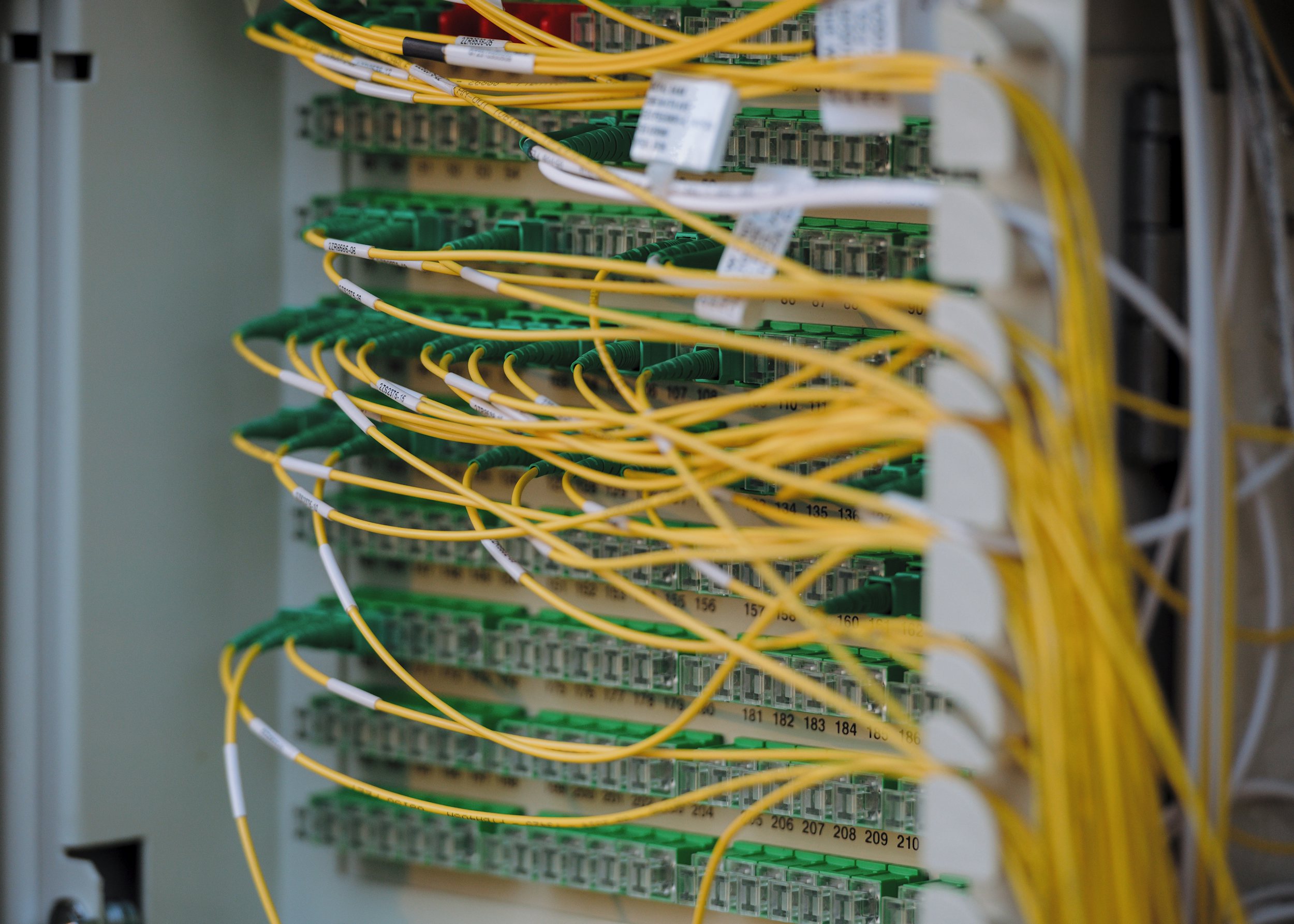 A close-up of yellow and green fiber-optic patch cables connected to a network distribution panel.